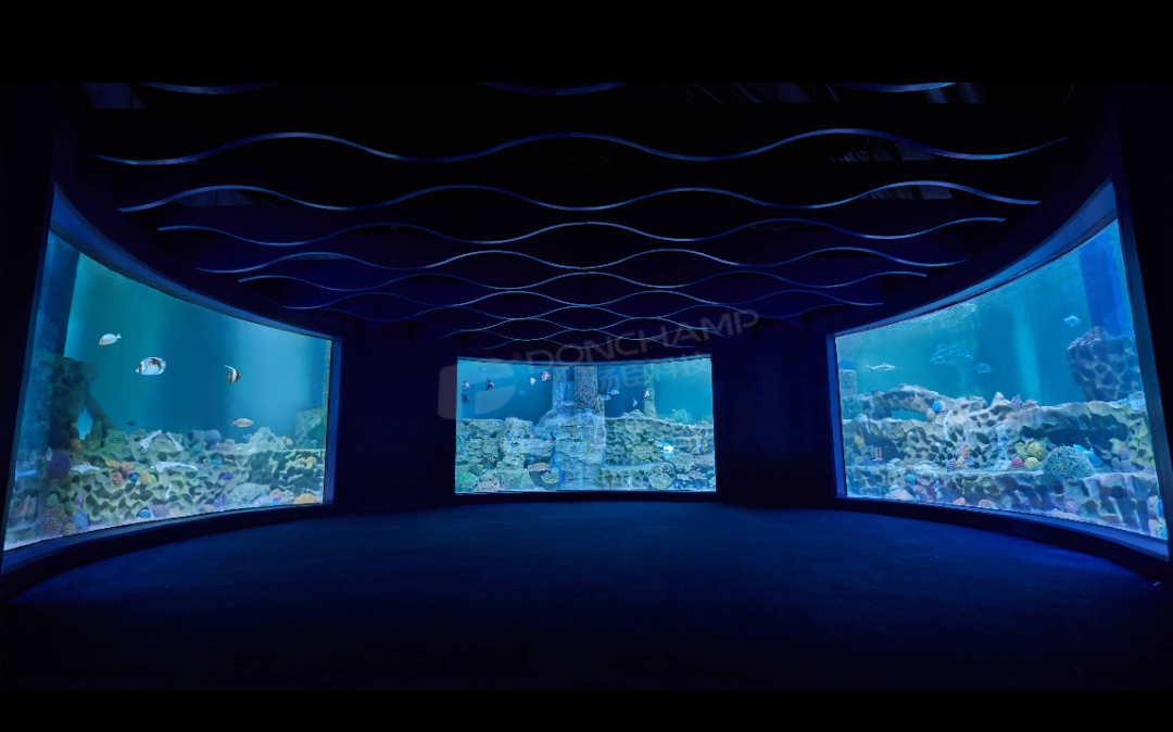 海洋館13.png